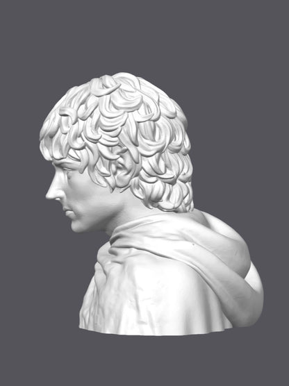 Busto Frodo — Escultura decorativa artesanal | Atenea
