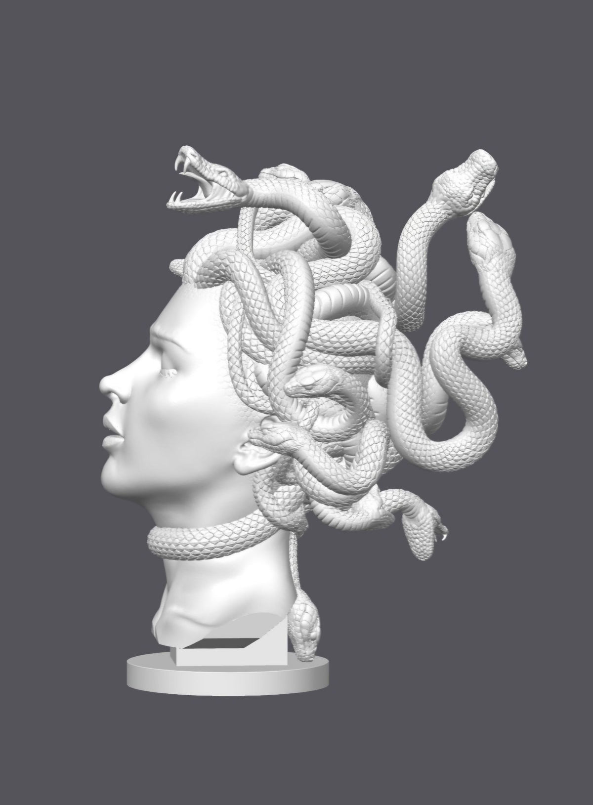 Busto Medusa — Escultura decorativa artesanal | Atenea