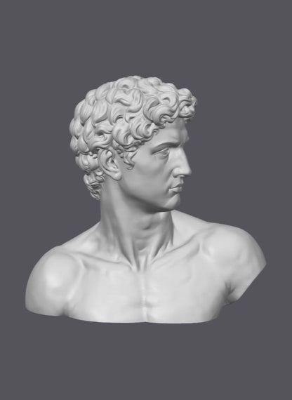 Busto clásico masculino — Escultura decorativa artesanal | Atenea