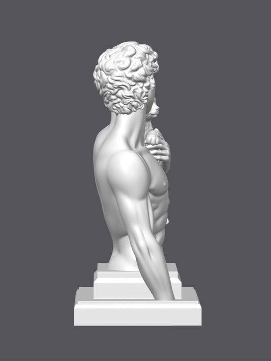 Busto David y su gato — Escultura decorativa artesanal | Atenea
