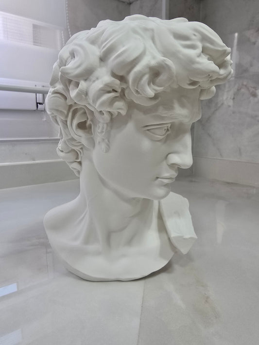 Busto de David, escultura de Miguel Ángel — Escultura decorativa artesanal | Atenea