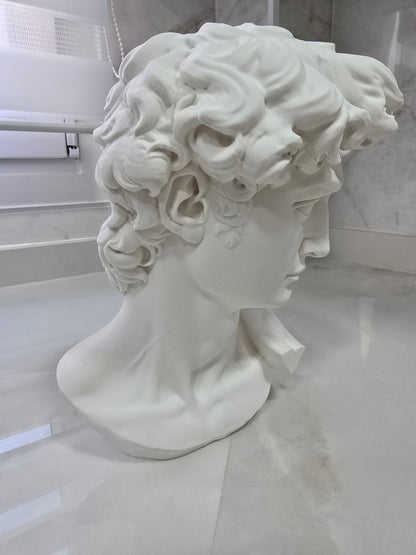 Busto de David, escultura de Miguel Ángel — Escultura decorativa artesanal | Atenea