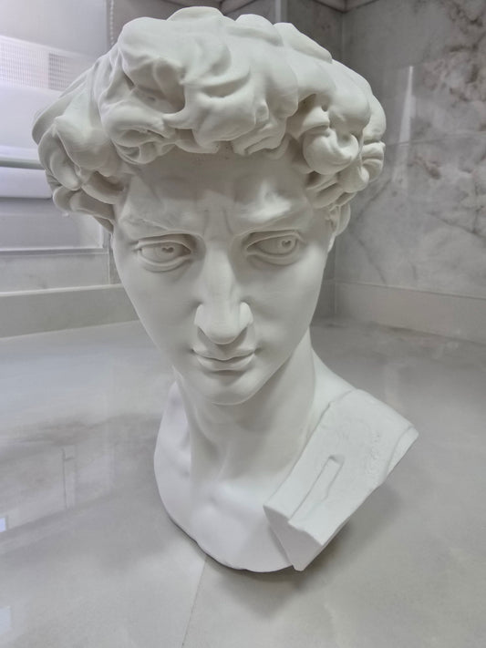 Busto de David, escultura de Miguel Ángel — Escultura decorativa artesanal | Atenea