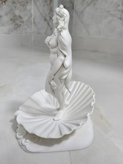 Nacimiento de Venus — Escultura decorativa artesanal | Atenea
